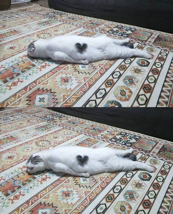 32d03b5f35823de5cab96615ac