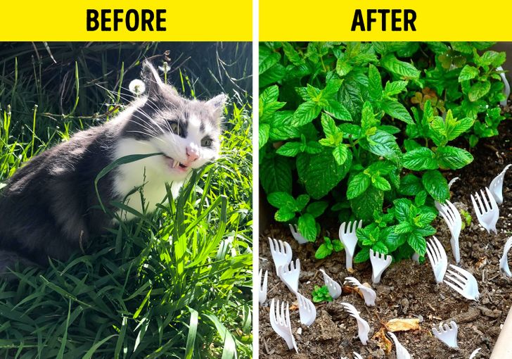 32d24056e6b08995c337358e63