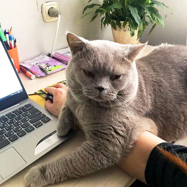 32d5bb570f8803a21a850b2b19