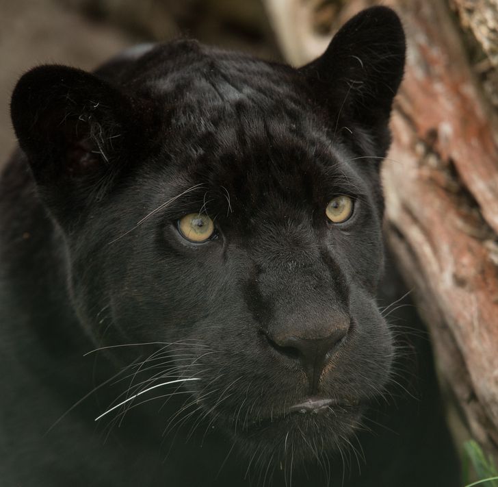 32d6635b919cdc632f6544c6b6