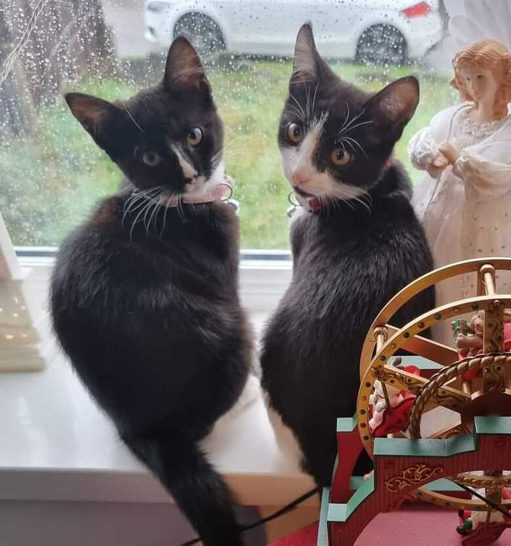 32d66c5b3a9900147ed267e7f9