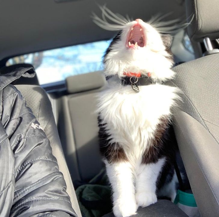 32d91e56aaa7ee53235001b1a7