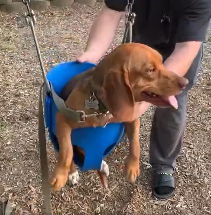 32da60550fb3d1f008620c8abd