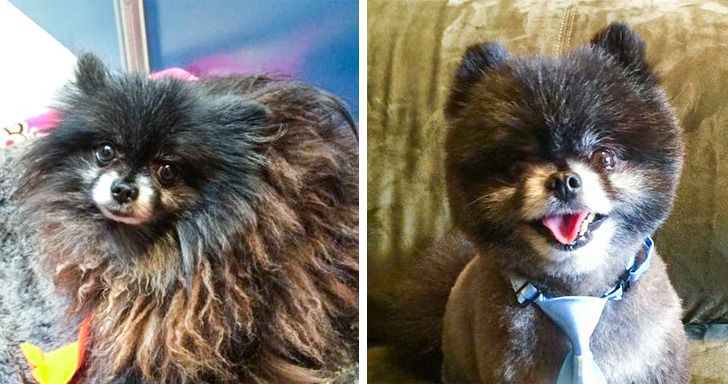 32da6a519cb6ffd76a120fa860