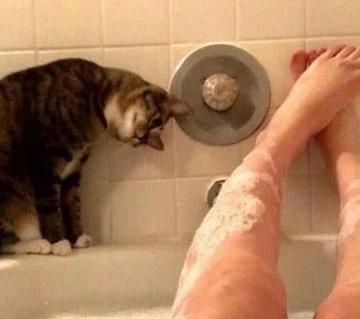 32db0b5b64855d36c8eca0767c