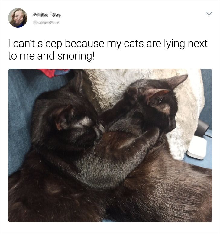 32dfdd5f9db2fe860886b99590