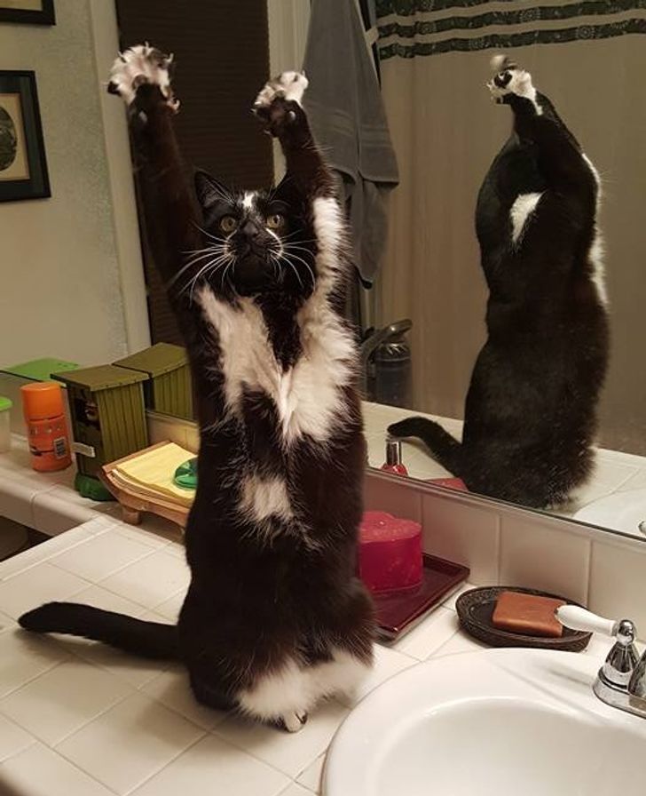 32e1405a53a8a122e0d30ef4b0