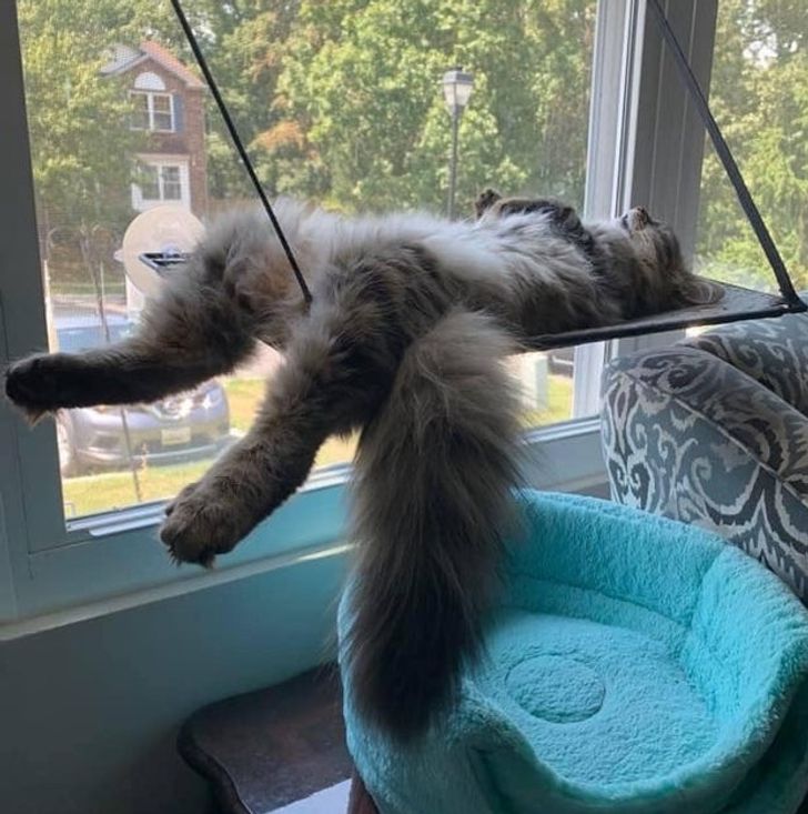 32e67a53d1a8cb62199d0f5e7c