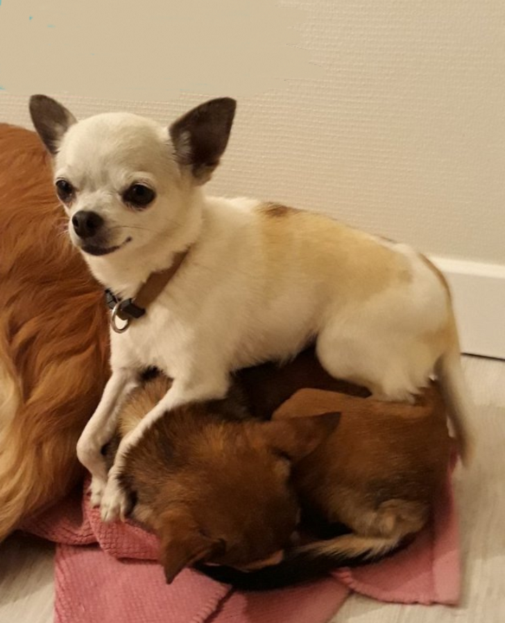 32e74d5afeabb04e5f1771fb3e 32e74d5afeabb04e5f1771fb3e