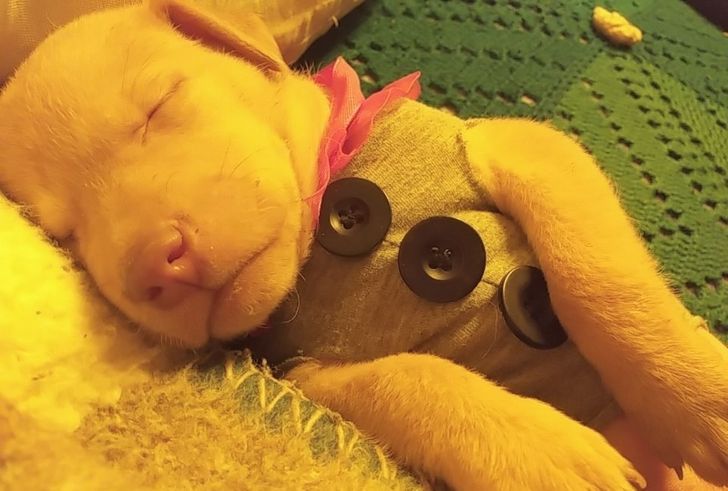 32edf354ea8fb5532345921ec4