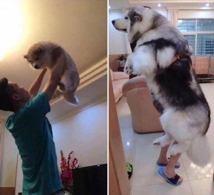 32ee235375a0156452be239ba4