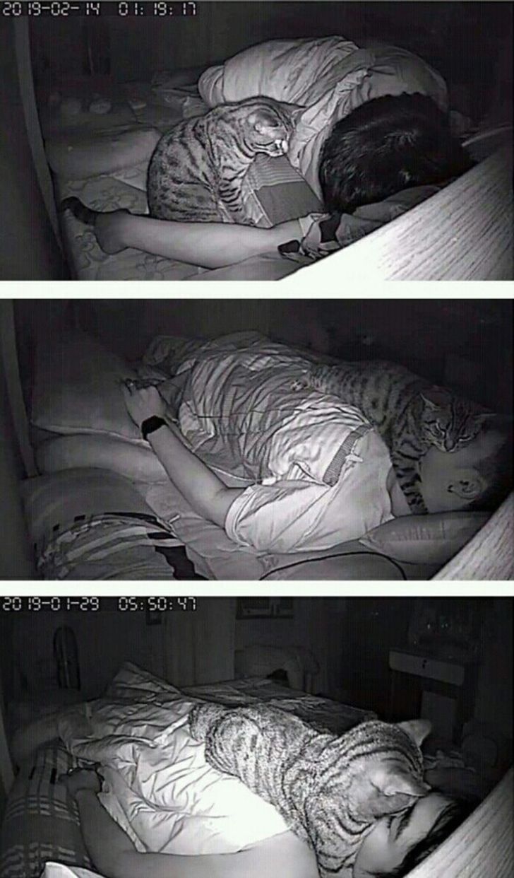 32ef155bee8141032e64361235