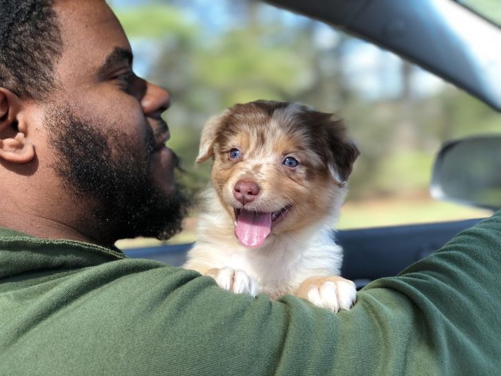 32f1d2597e98ef10c9ff8cffe6