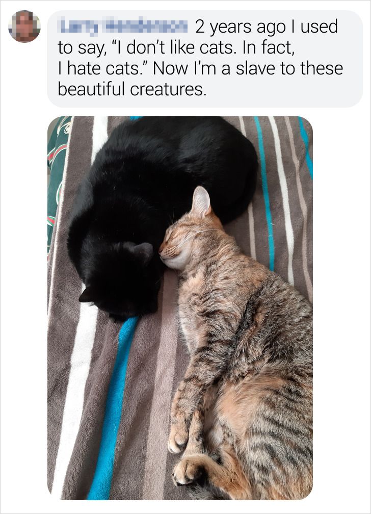 32f9ff5ecf8f71e4c2c4cc6c8c