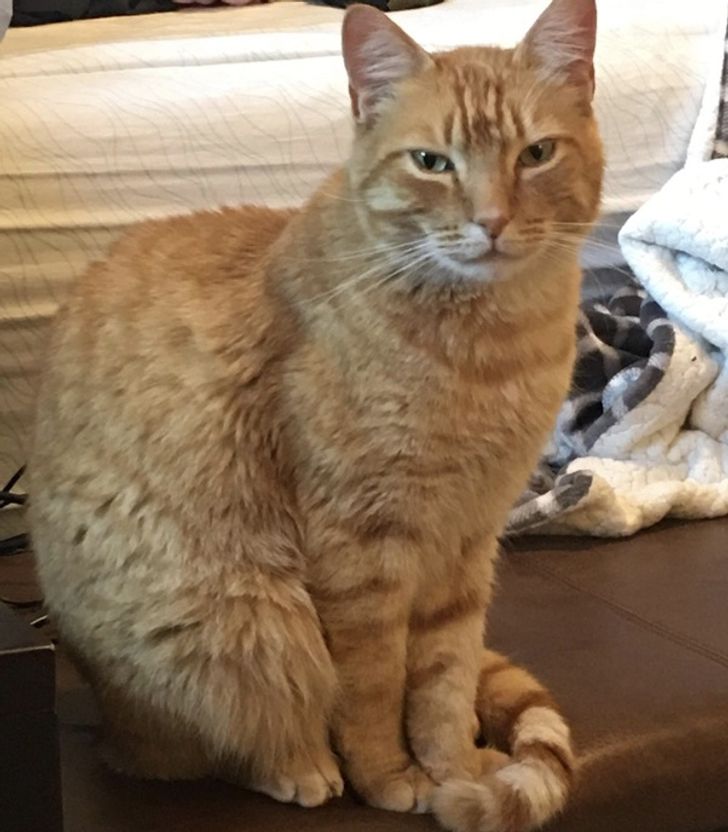 32fd2c528db83cd9f7eecf3387