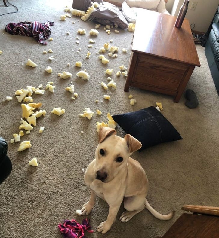 32fe955d3cafb4b8e9b6b75694