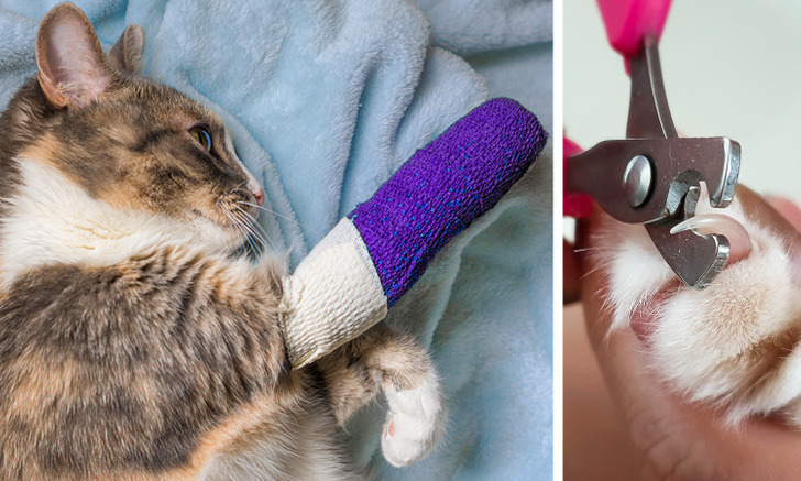 3309c259279d7a031b60d3459c