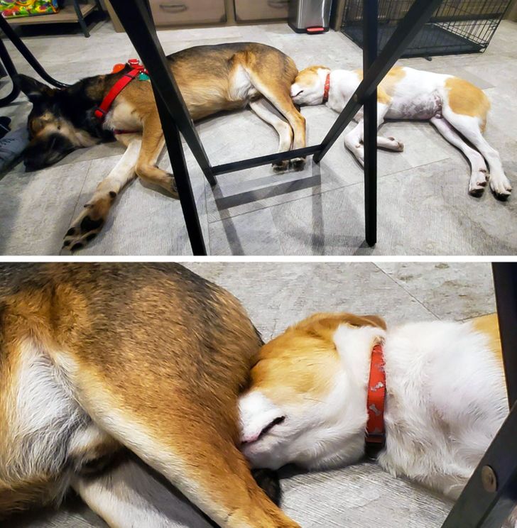 3315fd57f0b6a9df4433cfd8d5