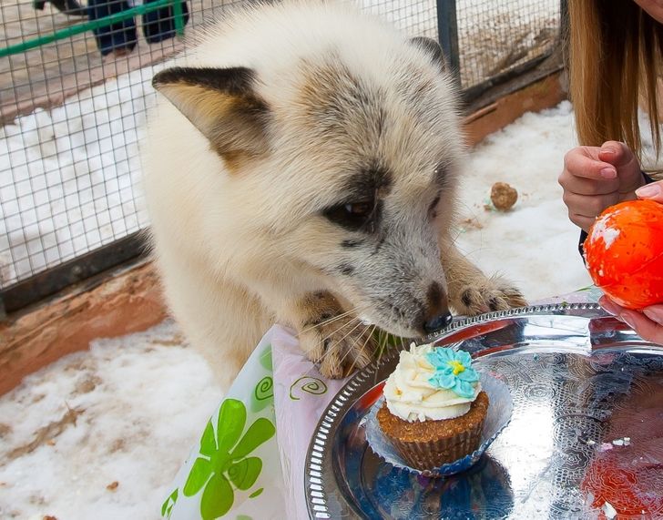 331f8759fc91a7f167a19cc123