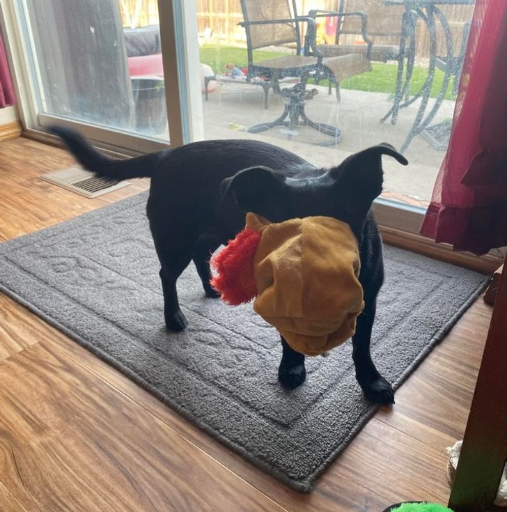 33283851b0823a9b6e7f369a62