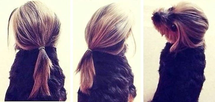 3328d9564482394677f82df10d