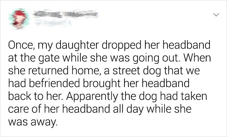 332b5a5fccb6a18ada9d3b4610