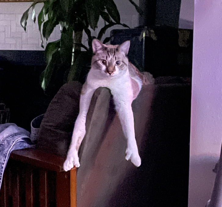 332b715ee3ac4a5d02a33d5518