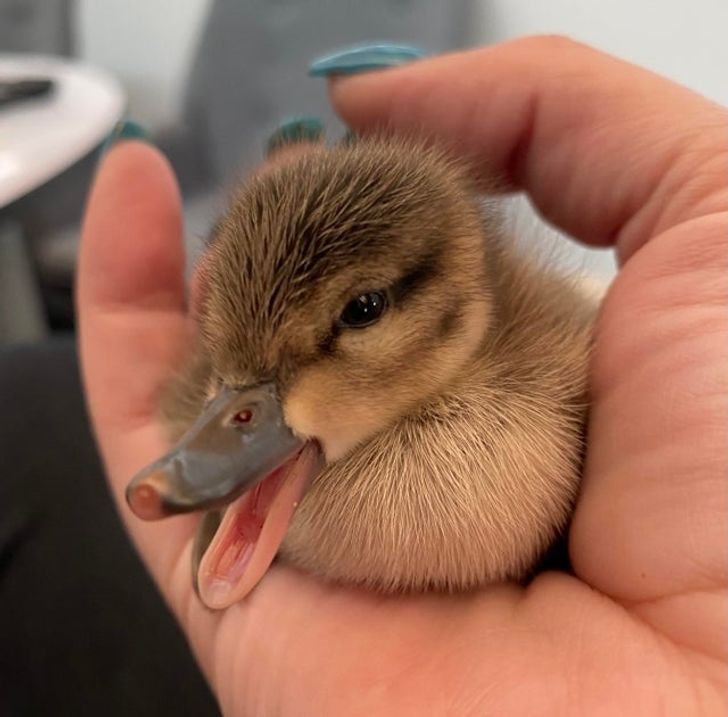 332bc65b17bec160aa8d3fce93