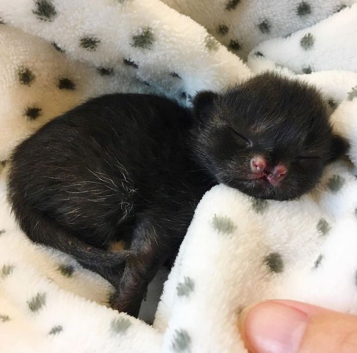 332c8f5ec28de62334f75f04b3