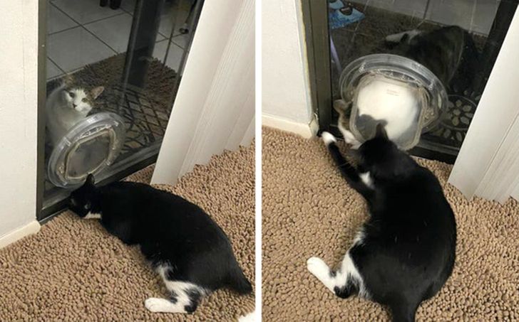 332d475805839596daae00a0d0