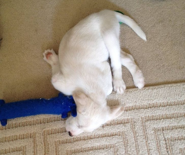 332feb587192af3cbf37b2264a