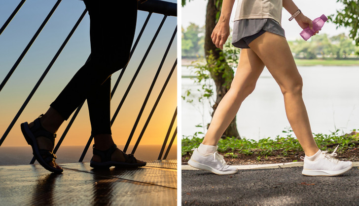 33337e5a978a736cdd215f7206