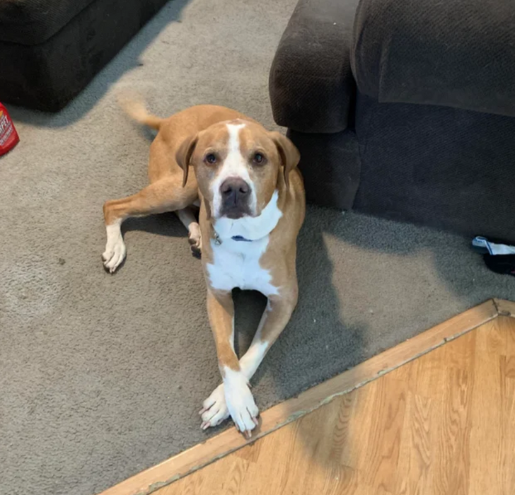 334696544d909f56ffc0c56217