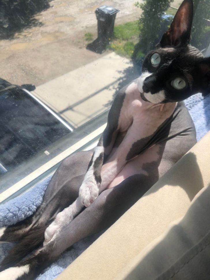 3356ff54ebbc1a2b177a0d8200