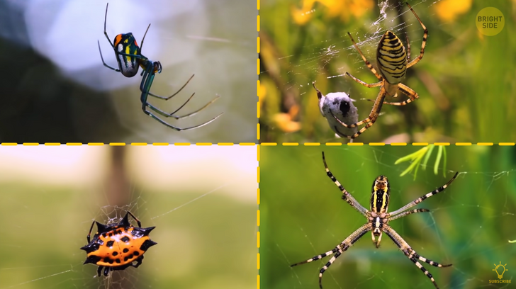 3359c7509d84129422d9a2470e