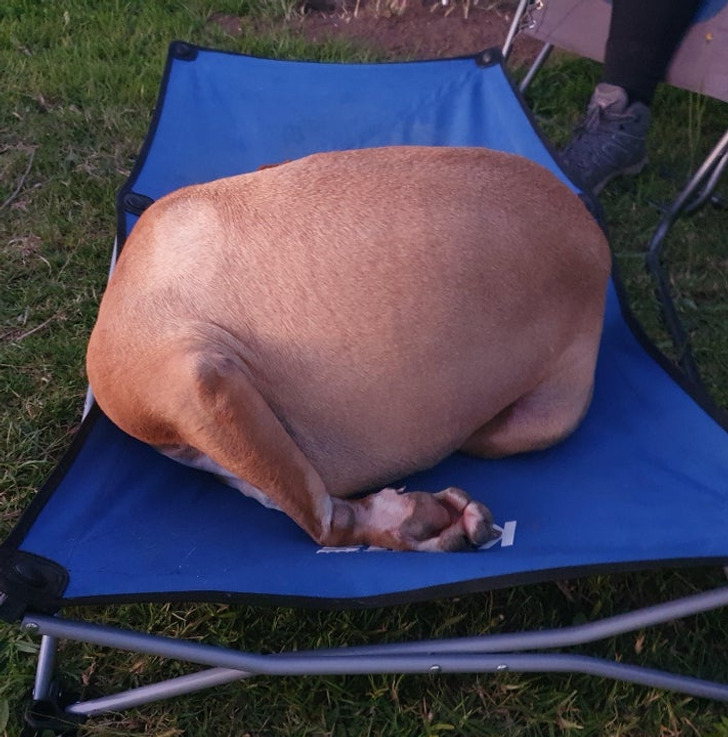 335e4d5eecbbd0482de7f016f4 335e4d5eecbbd0482de7f016f4