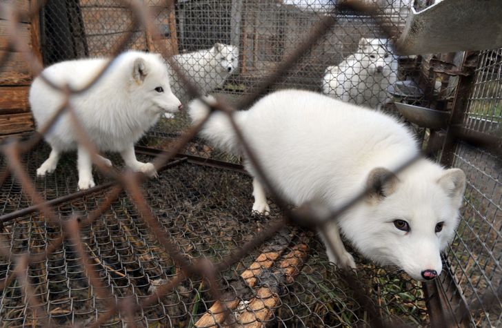 335f375cf699166aa5a996ecb6