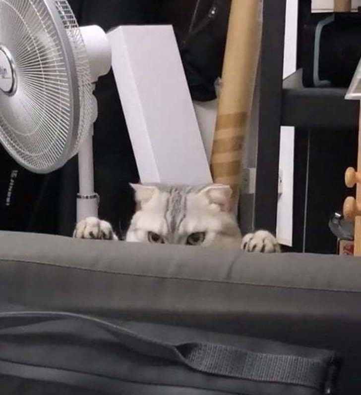 3362615d0c8f7225cd7b9e9070