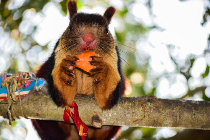 33689e54dd9d347a4fe46cfb2c