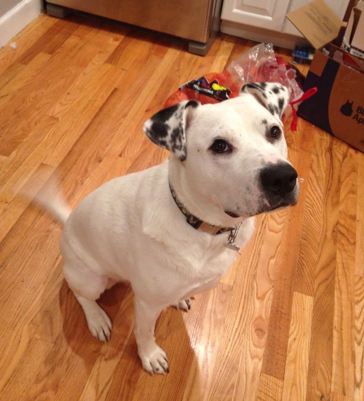 33699052199faa0a7f76a42d6f