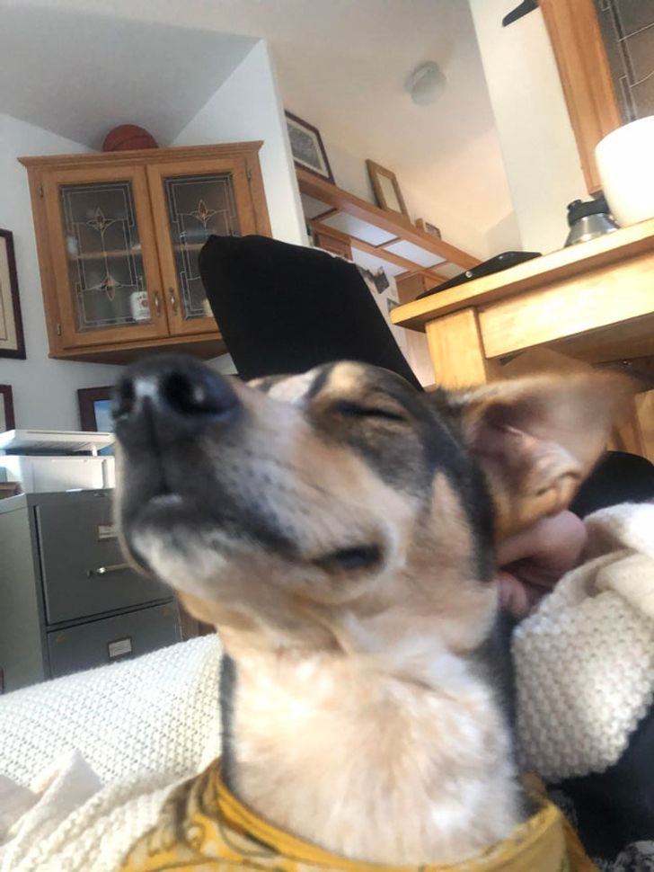 336aff57f7be1120df39a0c8f1