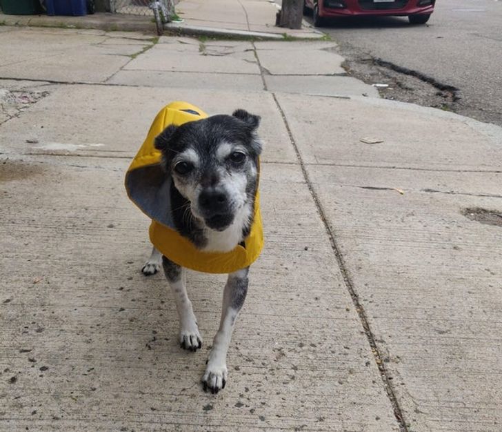 336c675cf3a92c77e57127daf1