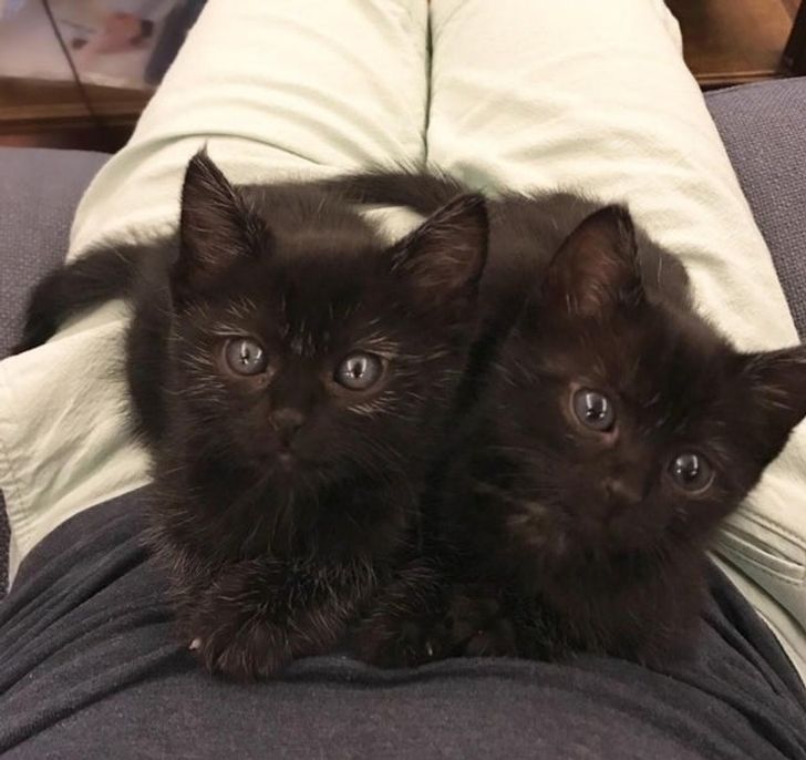 33742d591bbdb864e9f602e228