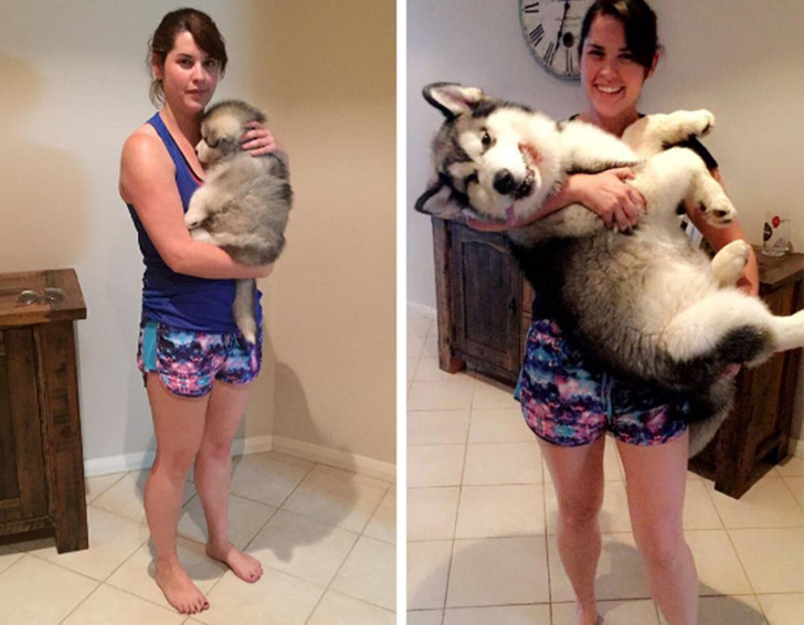 33749052019487f6dcb05e94d1