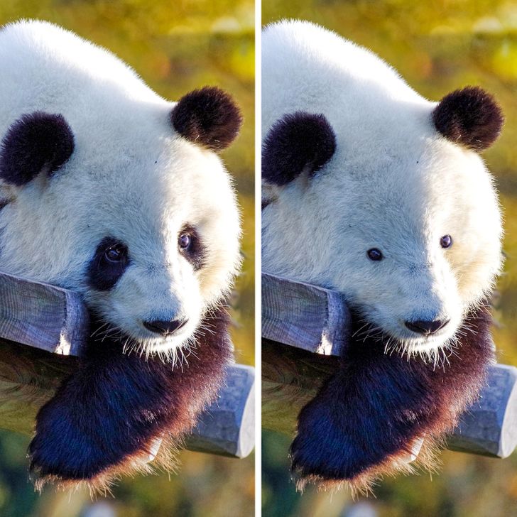 3376b45acd83f44a35916a73b1