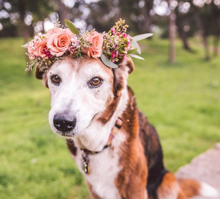 337c3d5d05a1ffb84795e1aa71