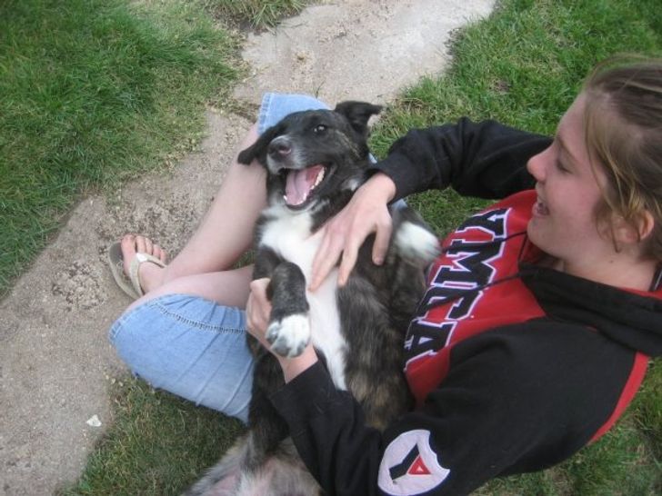 337df9545ba2a50f6503d587cd