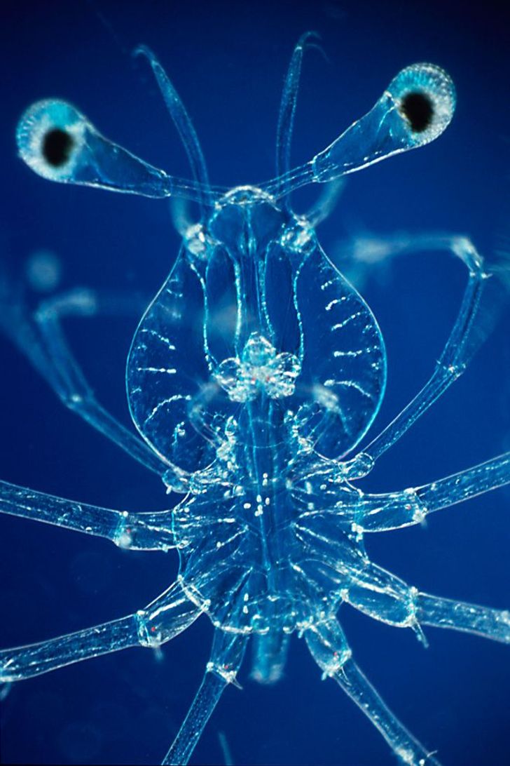 33806053ff9df27e7fafb20dd0