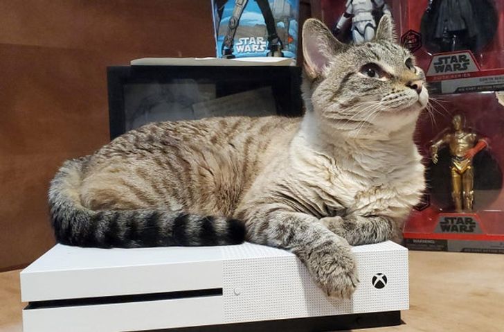 3383d65695bfdac34f3ae1eb64