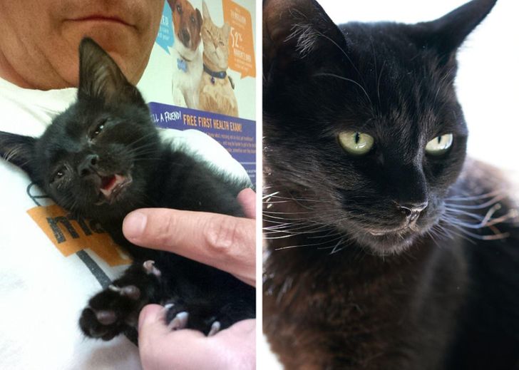 338be55046bf43fd846e9935ef